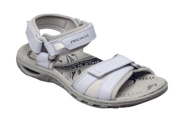 PED/231605-01 LILA 